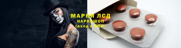 прущие крисы Арсеньев