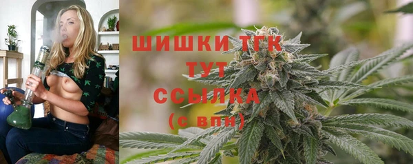 прущие крисы Арсеньев