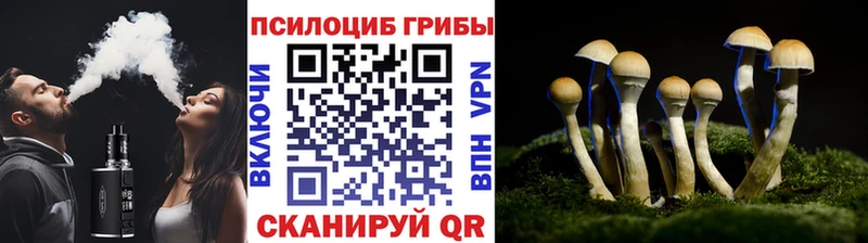 дарнет шоп  Колпашево  Галлюциногенные грибы MAGIC MUSHROOMS 